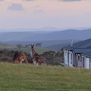 Rooks Edge Bed and Breakfast Gisborne Exterior photo