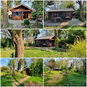 Chalet In Paradise Garden Διαμέρισμα Velden Exterior photo