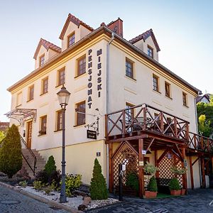 Pensjonat Miejski Bed and Breakfast Ζγκοζέλετς Exterior photo