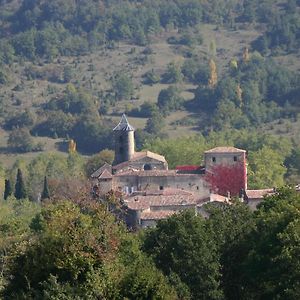 Chateau De Camon Bed and Breakfast Camon  Exterior photo