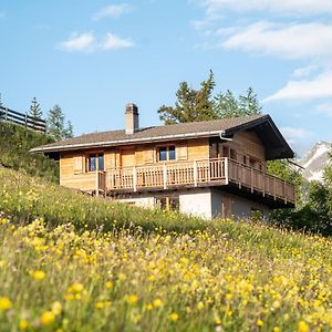 Labbrunnu In Den Walliser Alpen Διαμέρισμα Rosswald Exterior photo